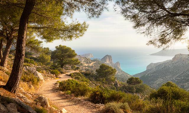 Sendero mediterráneo entre pinos y costa en la Sierra de Irta